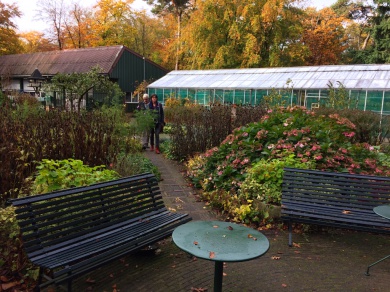 Sfeerimpressie van Aan de slag in de bloementuin en kassen van Tuin Zeist bij  WIJ 3.0