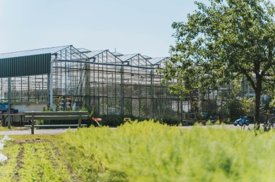 Sfeerimpressie van Facilitaire dienst De Moestuin bij  Moestuin Maarschalkerweerd