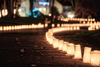 Sfeerimpressie van Lichtjestocht bij  De Wilg