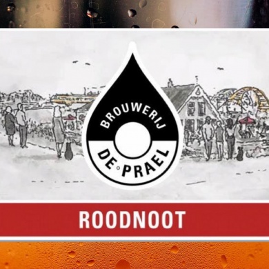 Sfeerimpressie van Werken in het restaurant en de brouwerij van Stadsbrouwerij RoodNoot bij  WIJ 3.0